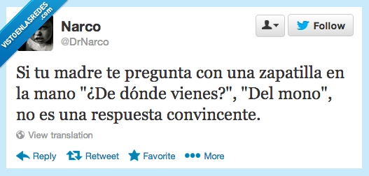 zapatilla,madre,preguntar,venir,del mono