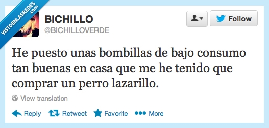 comprado,luces,bajo,consumo,buenas,tenido,comprar,perro,lazarillo