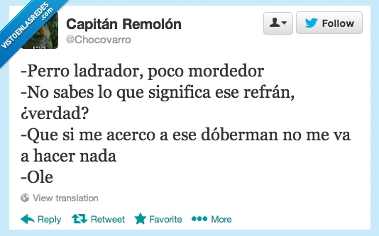 nada,doberman,mordedor,poco,ladrador,perro,memes,refranes,Twitter