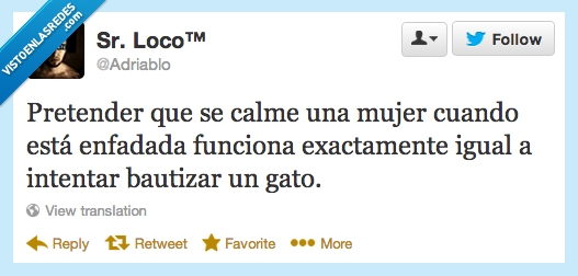 pretender,calmar,mujer,enfadada,bautizar,gato,adriablo