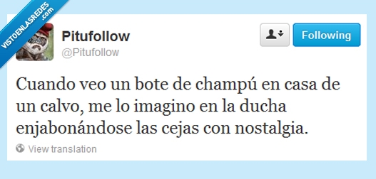 lavar,nostalgia,cejas,champu,calvo,pelos