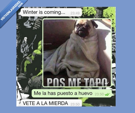 Frío,perro,Winter is coming,WhatsApp,Manta,pug,pos me tapo