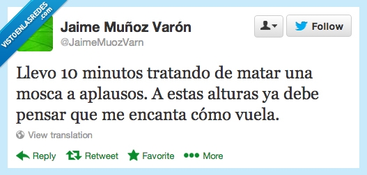 llevo,diez,10,minutos,matar,mosca,aplausos,vuela