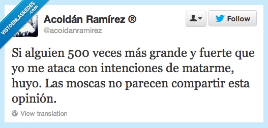 opinión,huir,matar,atacar,fuertes,grandes,500,moscas
