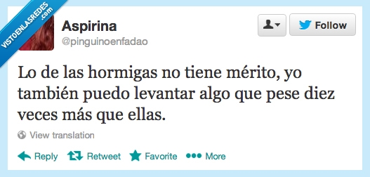 hormiga,merito,levantar,peso,pese,diez,veces,mas,ellas