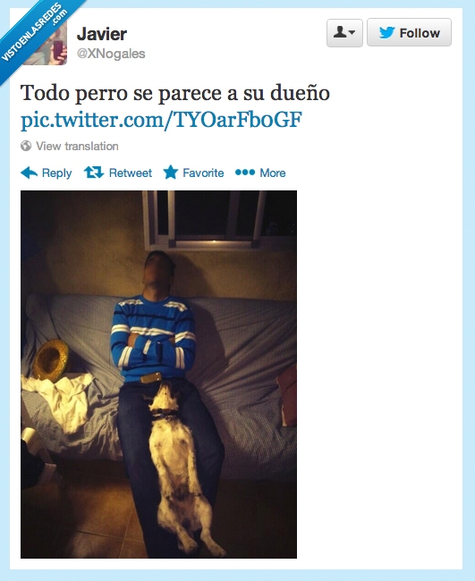 igual,dormir,perro,mascota,posicion,pose