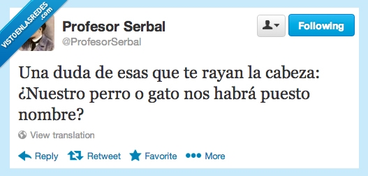 cabeza,puesto,poner,nombre,gato,perro,duda