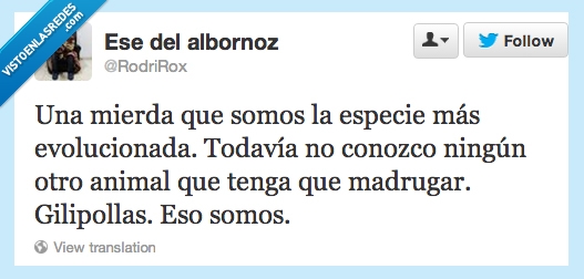 especie,humanos,madrugar,animales,evolucion