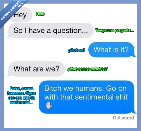 sentimientos,seres,humanos,perra,que somos