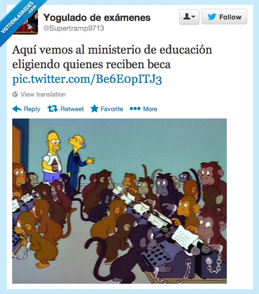 los simpson,becas,ministerio de educacion,monos,incompetentes