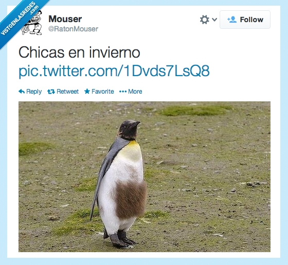 pinguino,pelo,chica,depila,invierno