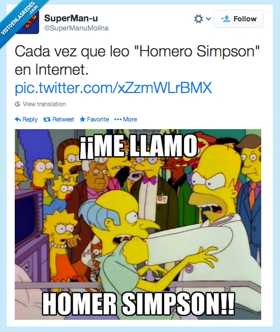 los simpsons,homer,homero,internet