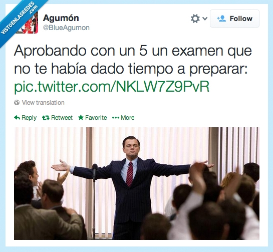estudiar,examen,aprobar,dicaprio,lobo de wall street,cinco