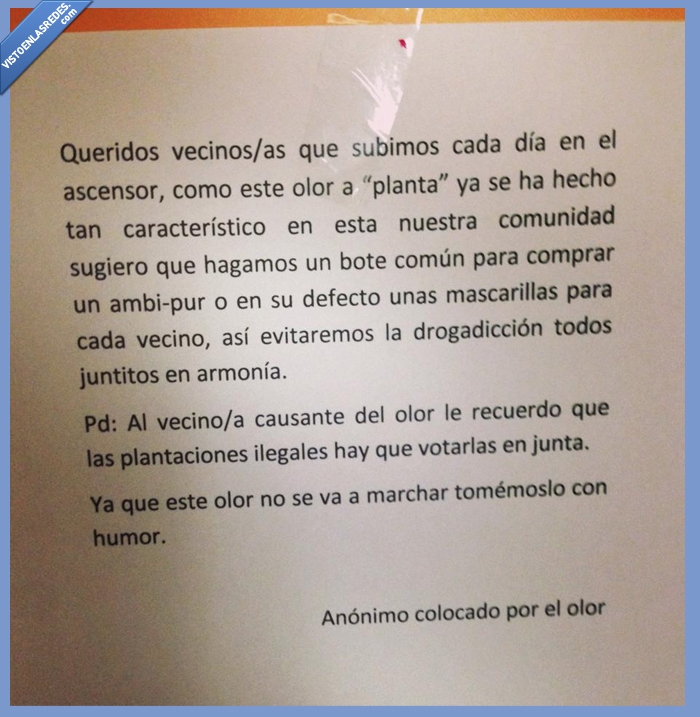 las plantaciones ilegales se votan en junta,comunidad,olor extraño,marihuana