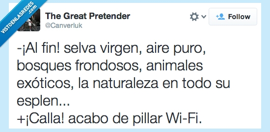 virgen,selva,Wifi,bosque,señal,pillar