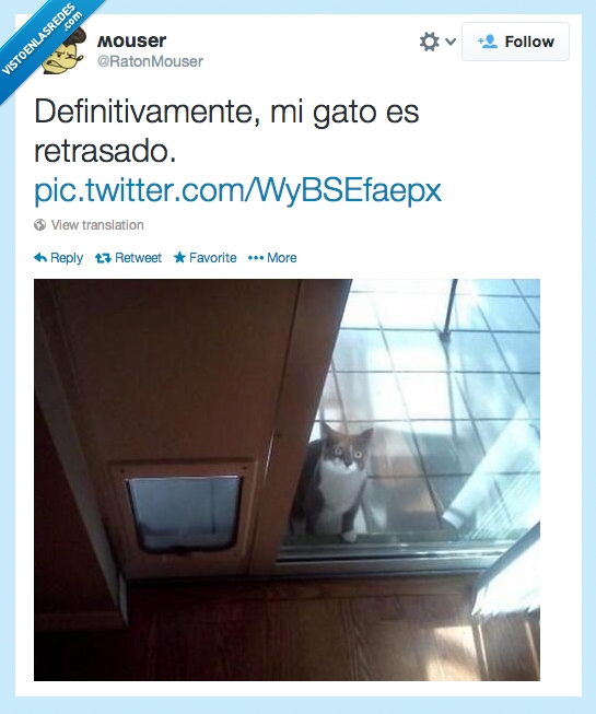 entrar,ventana,mirar,trampilla,puerta,tonto,gato