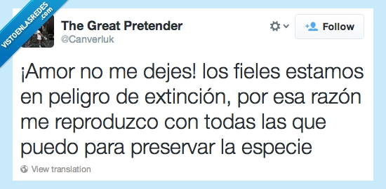 cuernos,especie,preservar,reproducción,extinción,fiel
