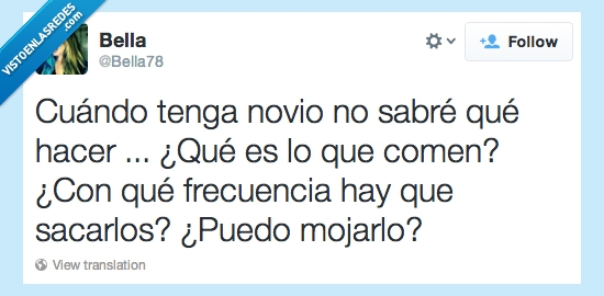 novios,soltera,pasear,sacar,hacer,mojar,gremlin,comer