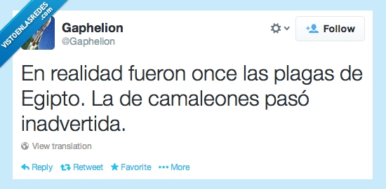 inadvertida,pasó,camaleones,egipto,plagas,once,fueron,realidad