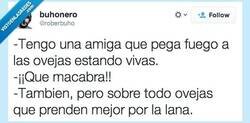 Enlace a Sí, no la llamamos mucho por @roberbuho