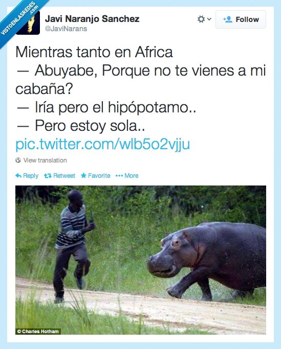 Africa,hipopotamo,ligar,correr,mujer,hombre