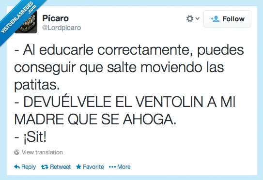 Educar,perro,madre,sit,ventolin,patita