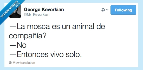 mosca,animal,compañia,vivir,solo