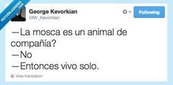 Enlace a Lástima, entonces nada por @Mr_Kevorkian