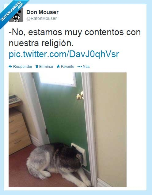 religion,testigos de jehova,puerta,perro,mirilla