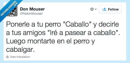 perro,caballo,pasear,montar,cabalgar