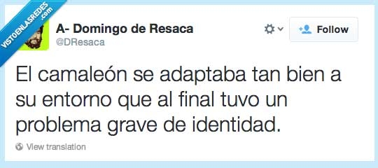 crisis de identidad,adaptación,entorno,virtud social,camaleon