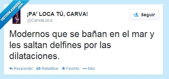 modernos,mar,dilataciones,delfines