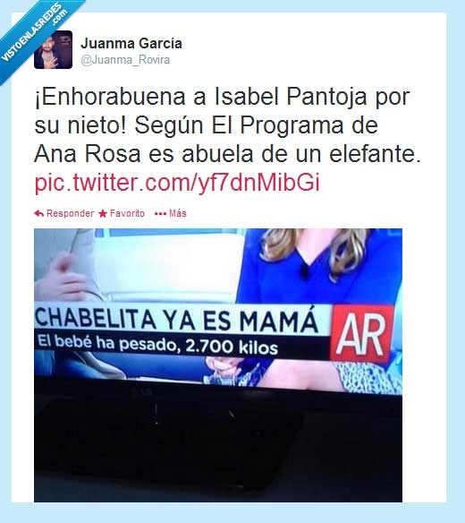 gordo,bebe,isabel pantoja,paquirrin,musica