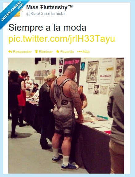 gato,mono,hombre,horrible,moda