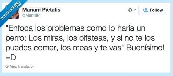 solucionar,olfatear,mear,perros,Problemas