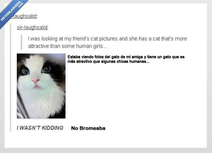 gato,amiga,fotos,bonito,atractivo,¿gata?,tumblr