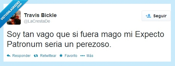 patronum,Expecto,Harry Potter,mago,vago,perezoso