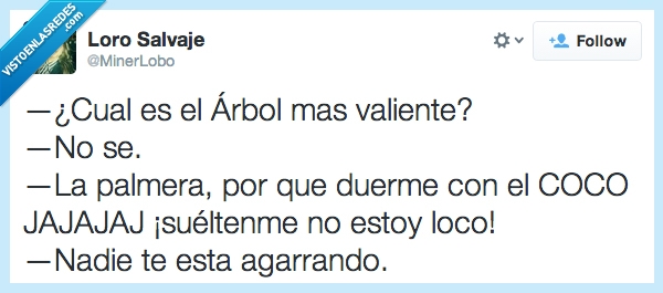 árbol valiente,soltar,agarrar,twitter,no me consta,que dices,policia,twittero,árbol