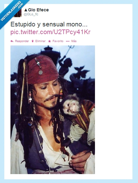 sensual,estupido,jack sparrow,mono,piratas del caribe