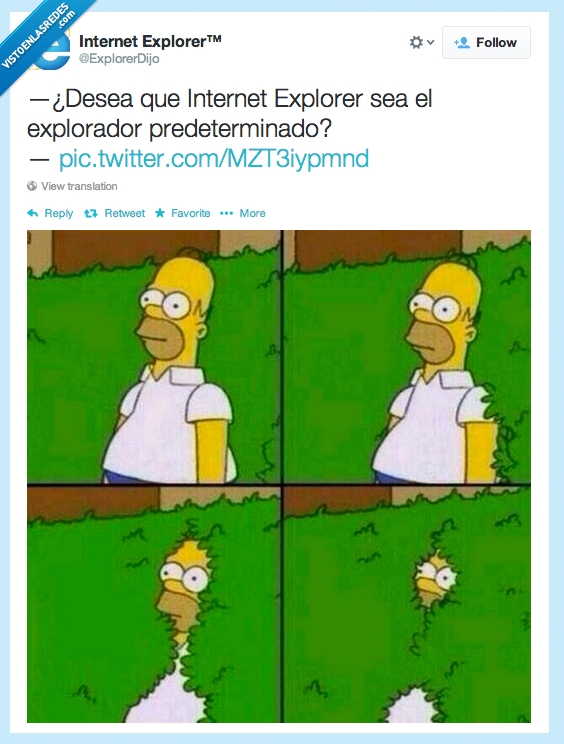 esconder,navegador,Internet Explorer,homer simpson,arbusto,disimular