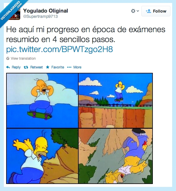 examenes,los simpson,caer en picado,suspender,chasco,homer,skate