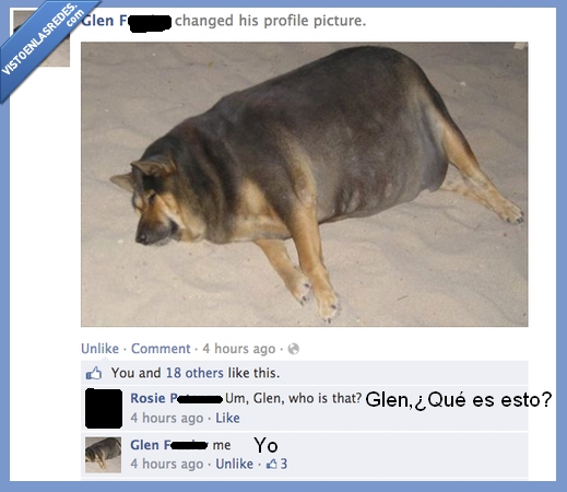 who is that?,foto,facebook,glen,gordo,perro