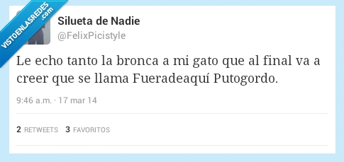 fueradeaqui,llama,nombre,creer,gato,bronca,echo,echar