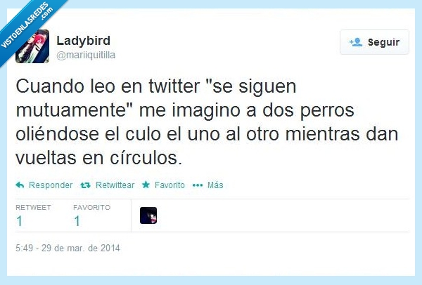 Twitter,perros,oler,seguir,personas,vueltas,girar