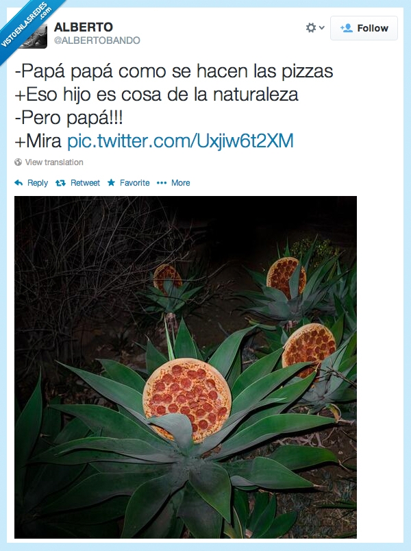 pizza,crecer,planta,cuenta como verdura?,naturaleza