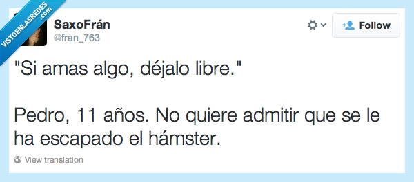 pobrecillo,admitir,escapaddo,dejar,Niño,Pedro,hámster,Ir