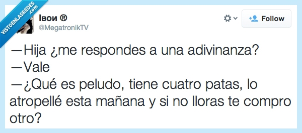 adivinanza,hija,atropellado,perro,cuatro,patas,atropellar,otro,gato,llorar