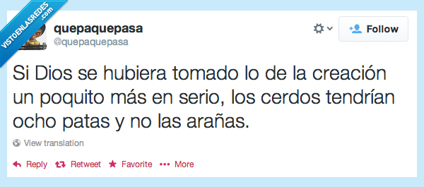 dios,tomado,creacion,serio,cerdo,ocho,patas,jamon,araña