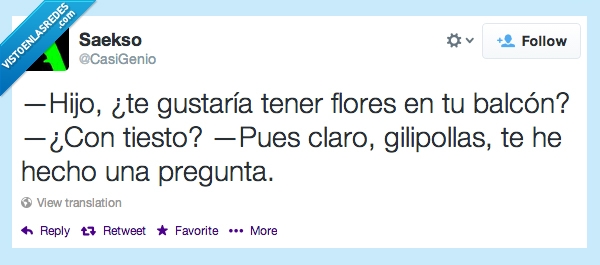 pregunta,balcón,hijo,mamá,habitación,tiesto,flor,flores