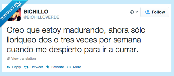 Mejor,llorar,dia,semana,trabajo